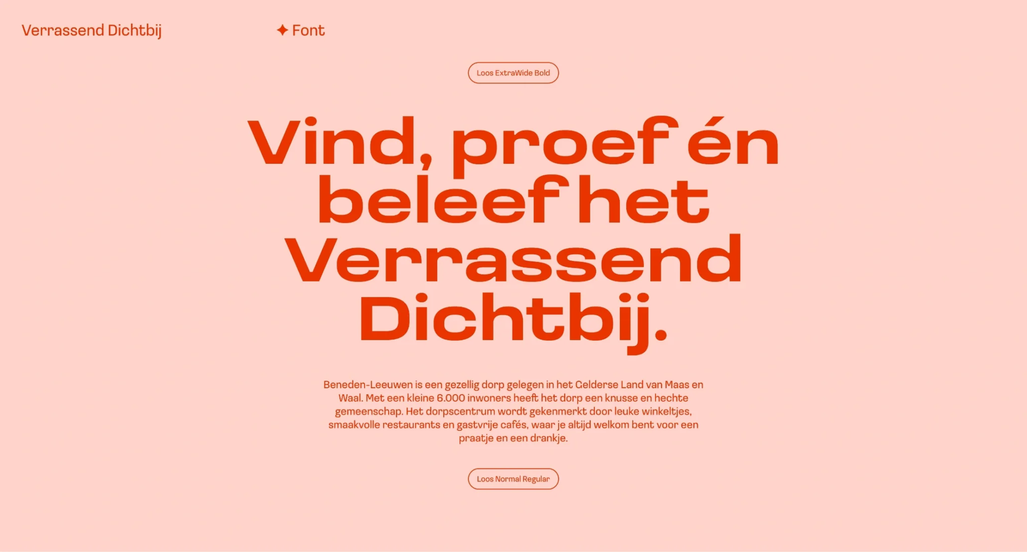 Verrassend Dichtbij Beneden Leeuwen visuele identiteit Studio Raznd 6